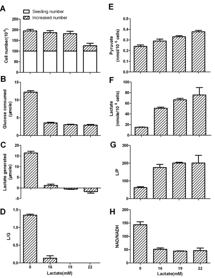 Figure 3. Cytosolic free NAD/NADH ratio estimated at the conversion at equilibrium in Bcap-37 cells