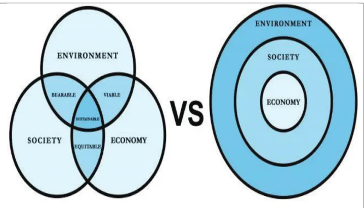 Figure II We can see the relation of the three pillars of sustainability in a Venn  diagram