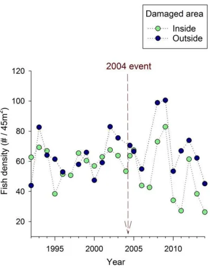 Fig 5. Mean adult fish density over time at Crab Cove, showing changes inside and outside the area damaged by the 2004 anchoring event