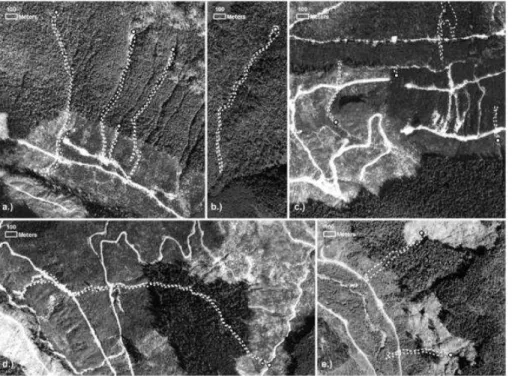 Figure 2. Examples of landslides in the inventory in a variety of forest cover conditions