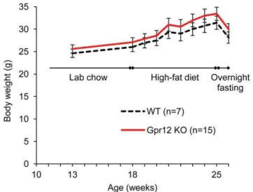 Table 4. Blood chemistry of wild type (WT) and Gpr12 deficient (Gpr12 KO) mutant mice – Australian study.