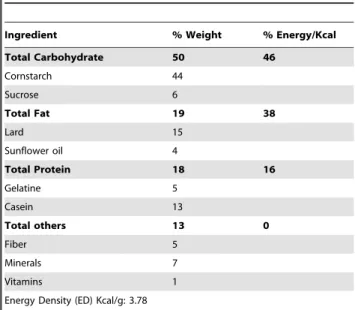 Table 6. High-fat diet composition – Australian study.