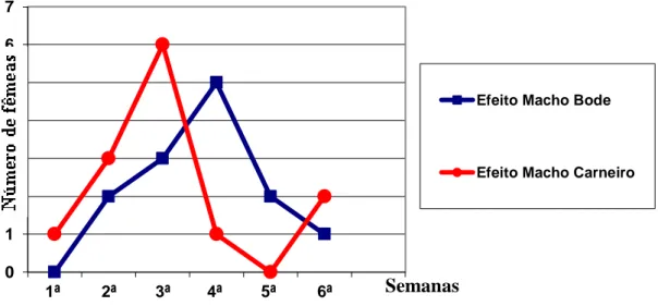 Figura  2.  Número  de  nulíparas  com  primeiro  estro  detectado,  após  a  introdução  do  carneiro e do bode, durante 6 semanas