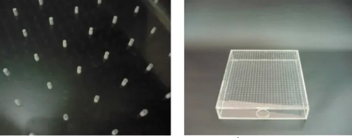 Figura 1.  a. Agujeros de la cámara de aire, cada uno con 1 mm de diámetro separados 1cm entre ellos