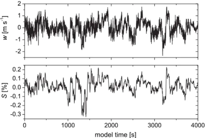 Fig. 10. Time series of vertical wind velocity (upper panel) driving the cloud parcel model and modelled supersaturation (lower panel) corresponding to during model run A1.