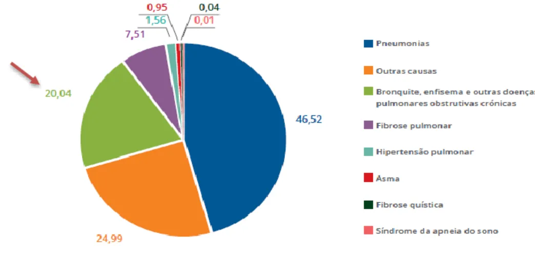Figura 6: Percentagem de óbitos por patologia respiratória em Portugal Continental, em  2013