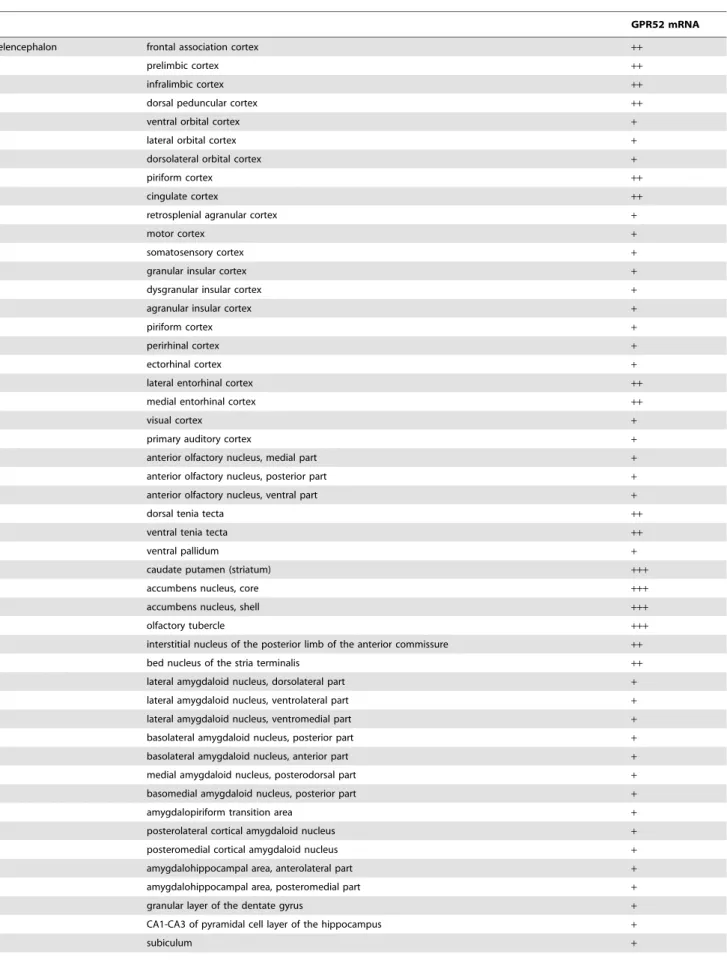 Table 1. Distribution of GPR52 mRNA in the rat central nervous system.