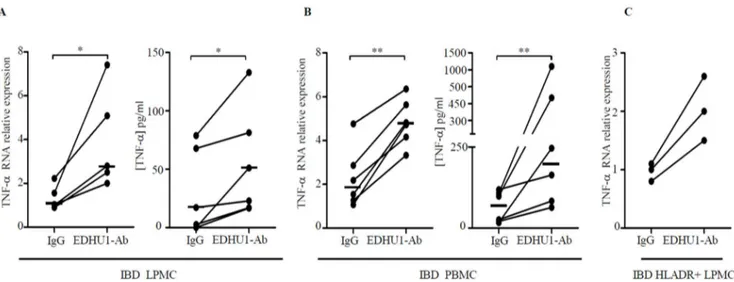 Figure 7. Cross-linking of CD163 with the EDHU1-Ab enhances TNF- a expression in LPMC, PBMC and in purified HLADR-expressing LPMC of IBD patients