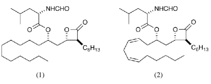 Figura 2 - Estrutura química do tetrahidrolipstatin (1) e lipstatin (2) (adaptado de Venukadasula et al.,  2010)