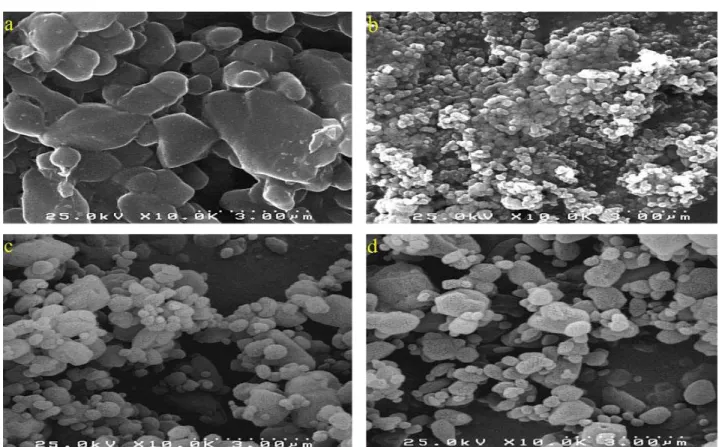 Figure 1. SEM images of :  unprocessed BDP (a) and processed by RESS process run 2 (b), run 9 (c) and run 11 (d)