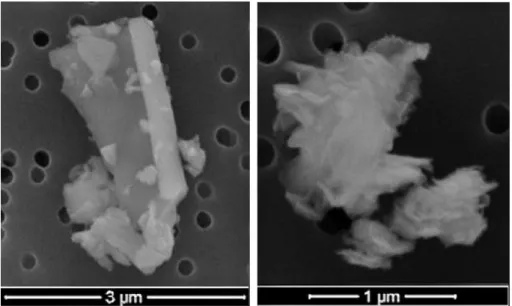 Fig. 4. ESEM images of two ash particles from the Eyjafjallaj¨okull (sample name: EY01): examples for different particle surface structures