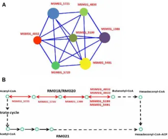 Fig 4. Connected network of the enriched differentially expressed genes following exposure to 0.2 mM H 2 O 2 