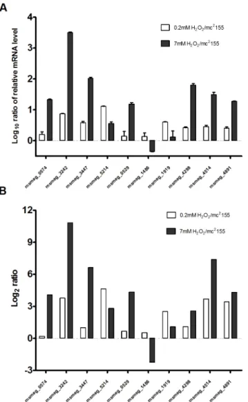 Fig 2. Quantitative RT-PCR validation of RNA-sequencing results. (A) Quantitative RT-PCR analysis of the mRNA expression of genes differentially expressed after treatment with different levels of H 2 O 2 