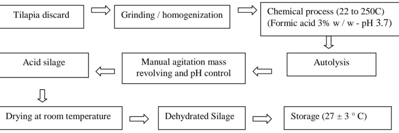 Figure 1. Flowchart processing for preparation of Nile tilapia acid silage  Analyses  were  conducted  to 