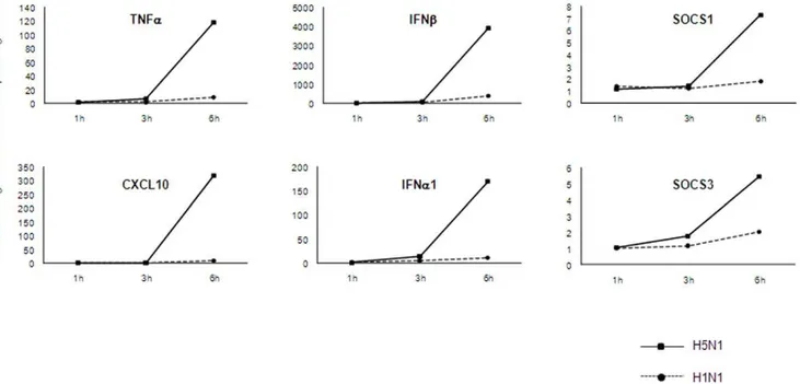 Figure 2. Validation of microarray data by real time PCR. Expression of six genes was assessed at 1, 3 and 6 h after infection by influenza A compared to mock infection
