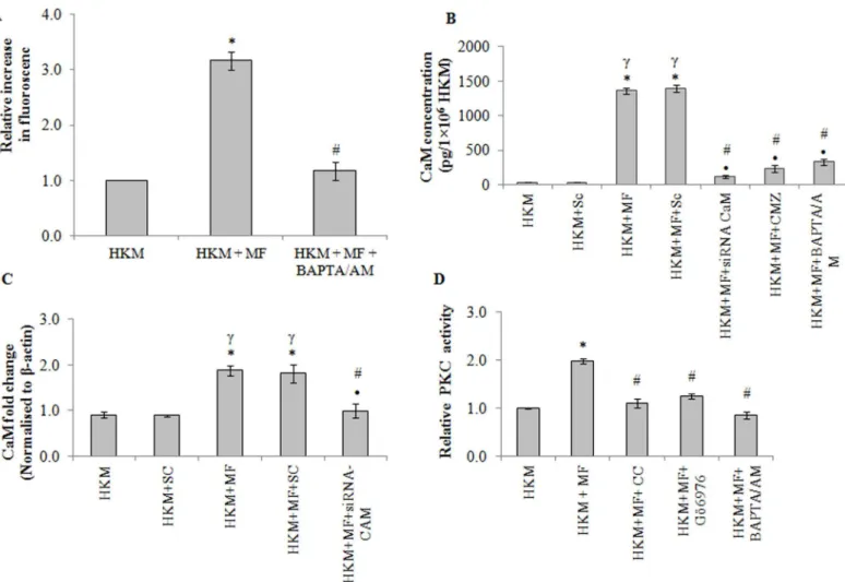 Fig 3. M. fortuitum alters intracellular Ca +2 homeostasis leading to activation of CaM and PKC-α