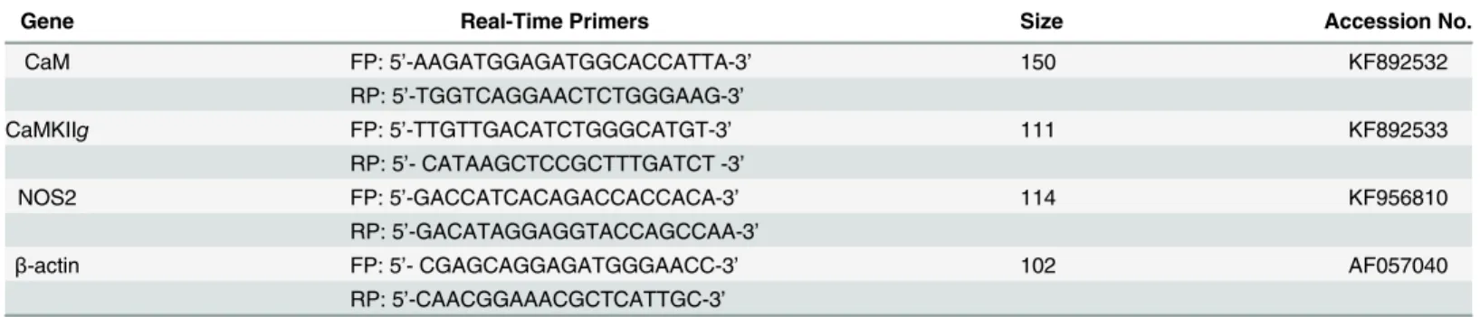 Table 3. Real-time primers for qPCR.
