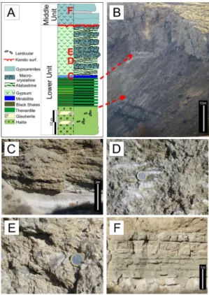 Figure 2. (a) Stratigraphic section of the upper part of the Lower Unit and the lowermost part of the Middle Unit of the Miocene in the Tajo basin