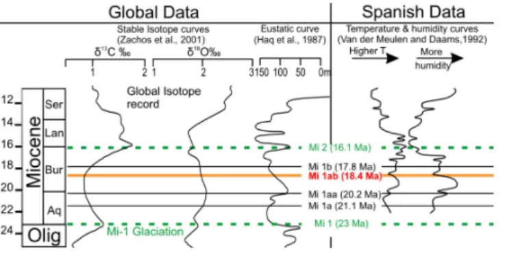 Figure 5. Correlation of the Oligocene-Miocene of the global deep-sea carbon and oxigen isotope curves of Zachos et al