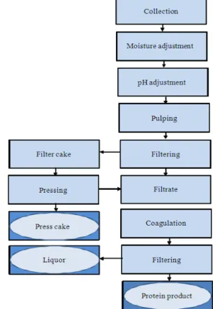 Fig. 2. The extraction process 
