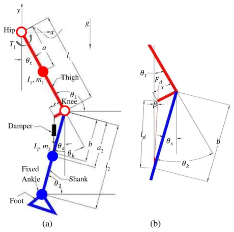Fig. 1 (a) The amputee ’ s swing leg model and (b) damper force resolution 