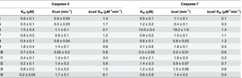 Table 2. Kinetic analysis of the fluorogenic substrates. The kinetic parameters (n = 3) were determined for the fluorogenic substrates 1 and 5–14 (mea- (mea-sured using substrate range of 0.1 – 8 μM) with caspase-3 and caspase-7