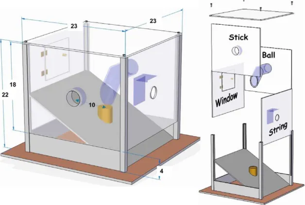 Figure 1. The Multi-Access-Box (MAB). Notice the four exchangeable transparent walls with openings corresponding to the 4 possible solutions (string, window, ball and stick)