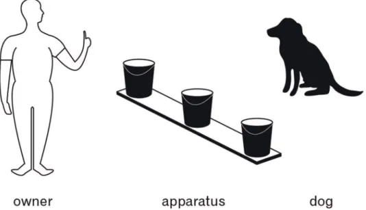 Figure 1. Experimental set up during the naming phase of Experiment 1.