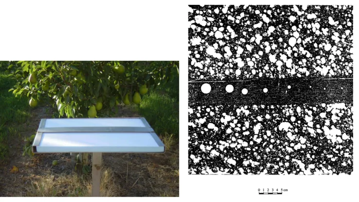 Figure 2. (a) Hailpad used in the ADV-TP. Source: M. Tor`a. (b) Plate with impacts painted in black, prepared for analysis