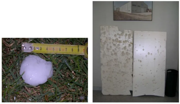 Figure 5. (a) Hailstone of 5 cm in diameter from 17 September 2009. Source: F. Farnell