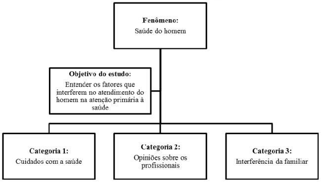 Figura 1  -  Divisão das  categorias temáticas de  acordo  com  o  fenômeno estudado:  saúde do  homem