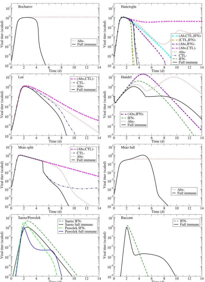 Figure 4. Effects of the immune response on an influenza infection as predicted by mathematical models