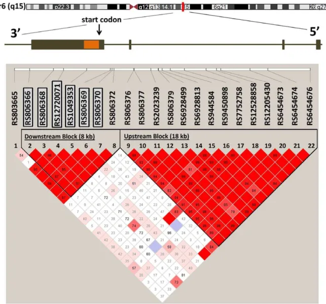 Figure 3. Chromosomal location for CNR1, and linkage disequilibrium (LD) structure within the PMRP database