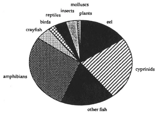 Figure 2: Relative frequencies of occurence of the different otter prey categories in Turkey 