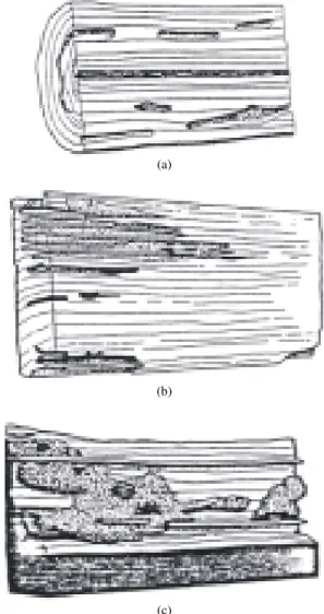 Fig. 8:  Termite  wood  boring  patterns  (a)  Galleries  formed  by  dry  wood  termites;  (b)  A  mixture  of  sand  and  chewed  wood  in  excavated  timber  by  subterranean  termites;  (c)  Excavated  timber  space  filled  with  packed  earth  by  mo