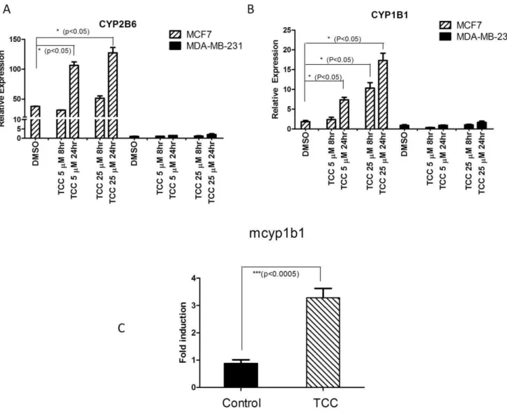 Figure 5. Activation of gene expression by TCC. Human breast cancer cell lines, MCF7 and MDA-MB-231, were cultured and treated with either DMSO or 5 or 10 mM TCC
