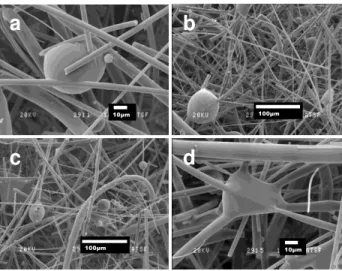 Fig. 11. Morphology of ceramic papers with   different binders calcined at 600°C and  750°C