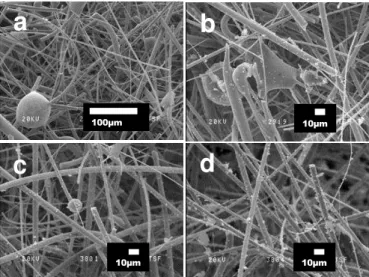 Fig.  13.  Morphology  of  ceramic  papers  prepared  using  ulexite  as  binder  with  different  Y  zeolite  content