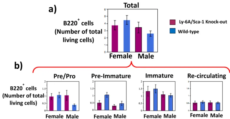 Fig 2. Absolute numbers of developing B cells in the bone marrow of female and male Ly-6A/Sca-1 -/- mice