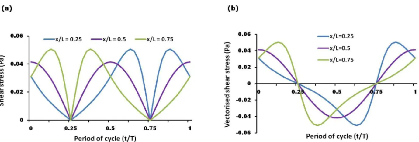 Fig. 2.  The affect of FSS on MLO-A5s.  (a) ALP activity normalised to total DNA; (b) total collagen production  assayed by Picrosirius red staining; (c) calcium deposition assessed  by Alizarin red; (d) Picrosirius red and Alizarin  red staining of MLO-A5