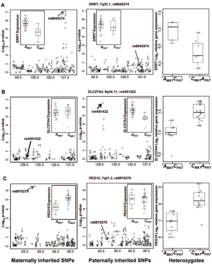 Figure 2. Putative cis -ieQTLs detected by parent of origin specific association analysis in 59 HapMap trios