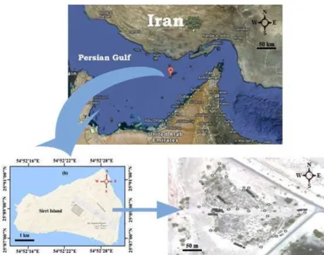Fig. 1: The petroleum sludge depot region in Sirri Island located in the Persian Gulf of Iran  Fig