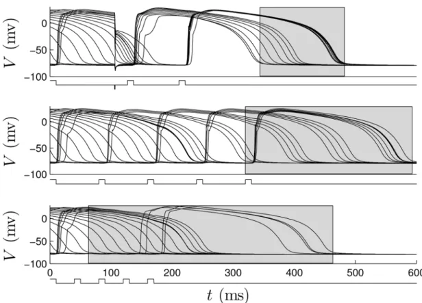 Fig 12. The top, middle, and bottom panels show 18 cells with equal initial spacing in ψ with optimal, 80 ms pulsed, and 40 ms pulsed control strategies applied, respectively