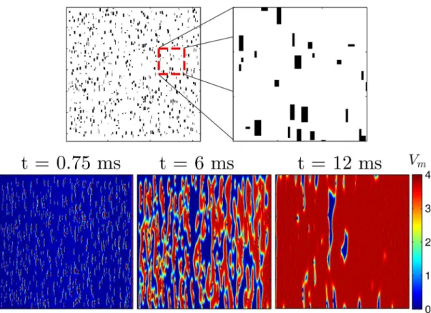 Fig 1. The top panels show an example of randomly chosen sets of gap junctions removed in Eq (1), shown in black