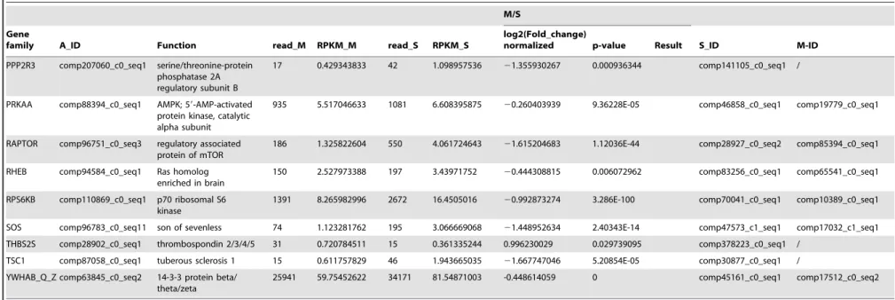 Table 4. Cont.