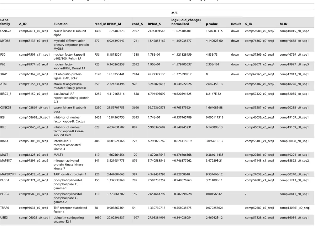 Table 5. The differential expression of genes regulated by M. bicoloratus bracovirus in the host NF-kB signaling pathway.
