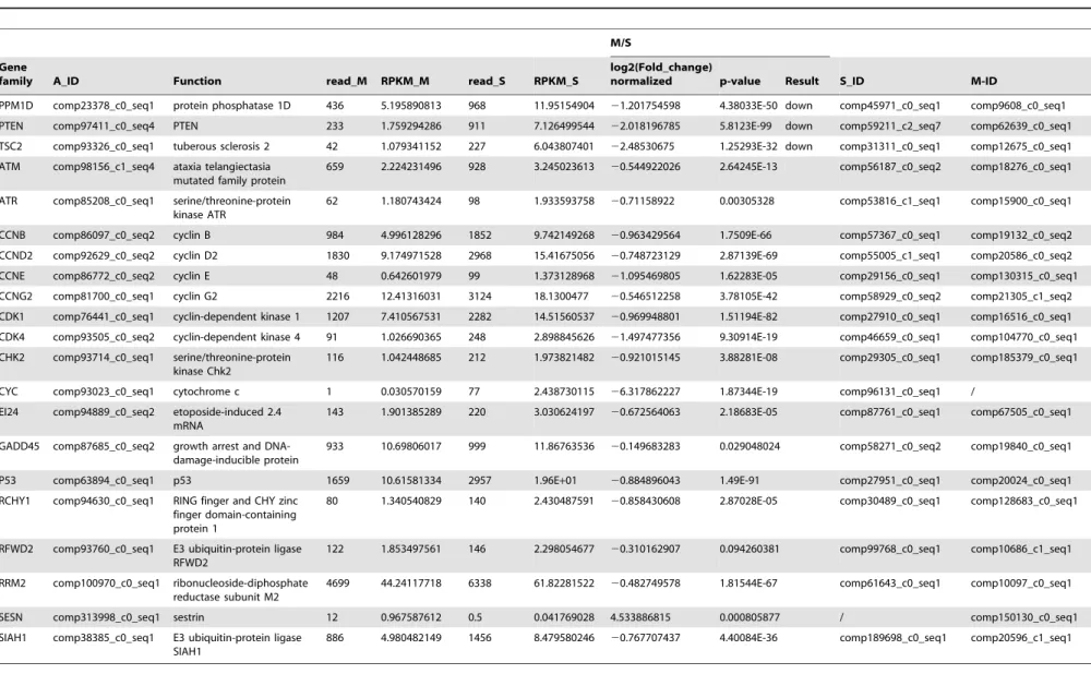 Table 6. The differential expression of genes regulated by M. bicoloratus bracovirus in the host ATM/p53 signaling pathway.