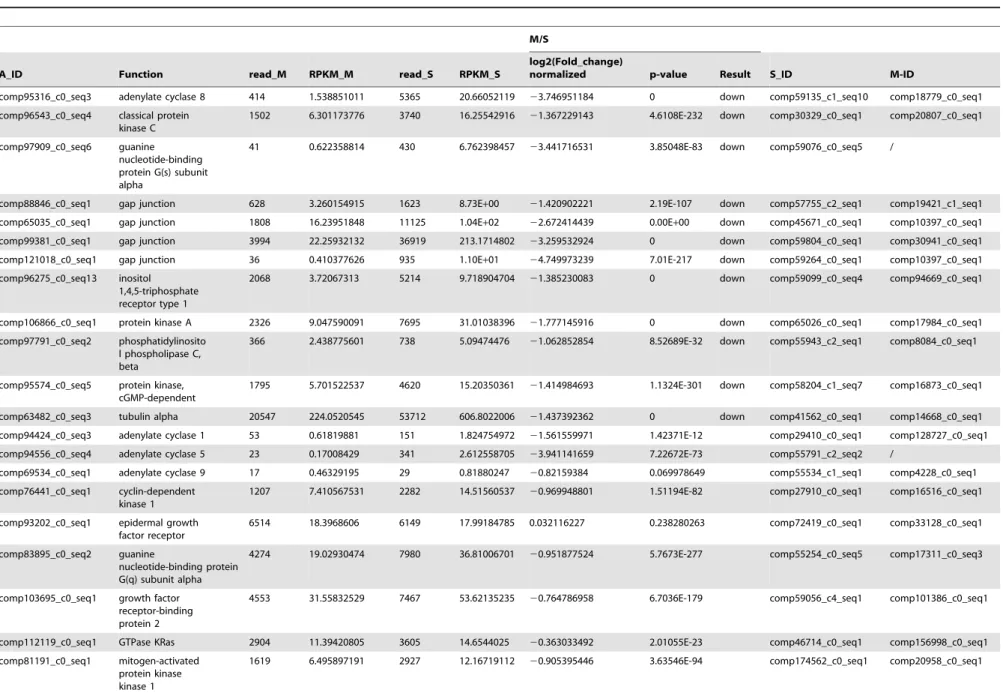 Table 2. The differential expression of genes regulated by M. bicoloratus bracovirus in the host gap junction signaling pathway.