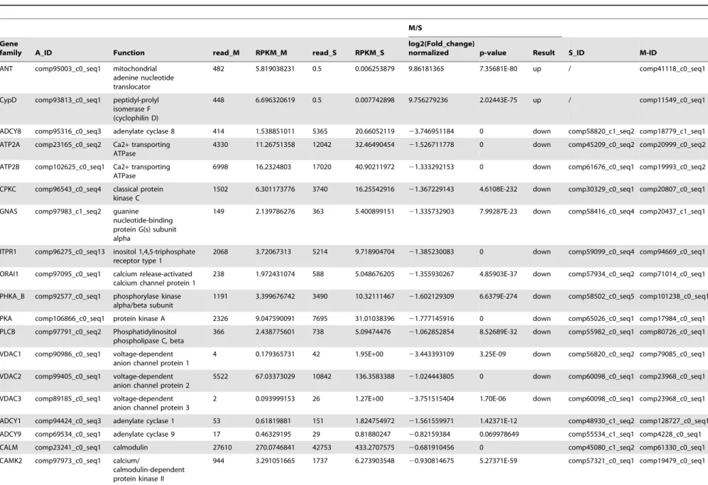 Table 3. The differential expression of genes regulated by M. bicoloratus bracovirus in the host Ca 2+ signaling pathway.