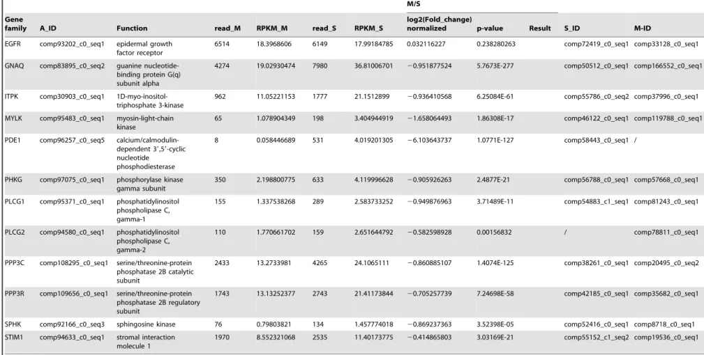 Table 3. Cont.